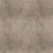 Sandstone Concrete Cochlear Nucleus 6 Skin
